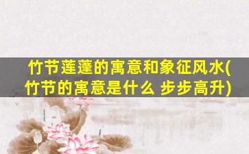竹节莲蓬的寓意和象征风水(竹节的寓意是什么 步步高升)